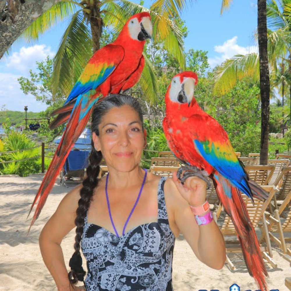 Meet your Posher, Petra